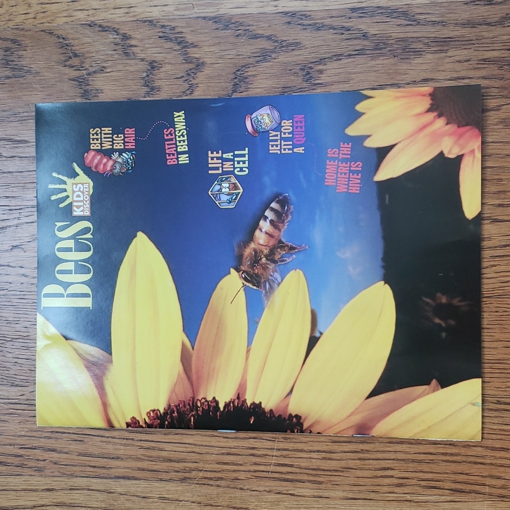 Vintage Y2K Kids Discover Magazine Bees Volume 15 Issue 7 July 2005
